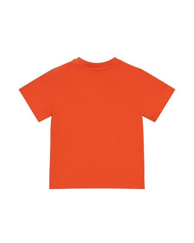 T-SHIRT ICEBERG