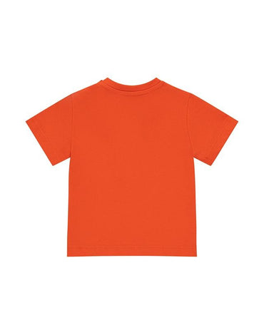 T-SHIRT ICEBERG