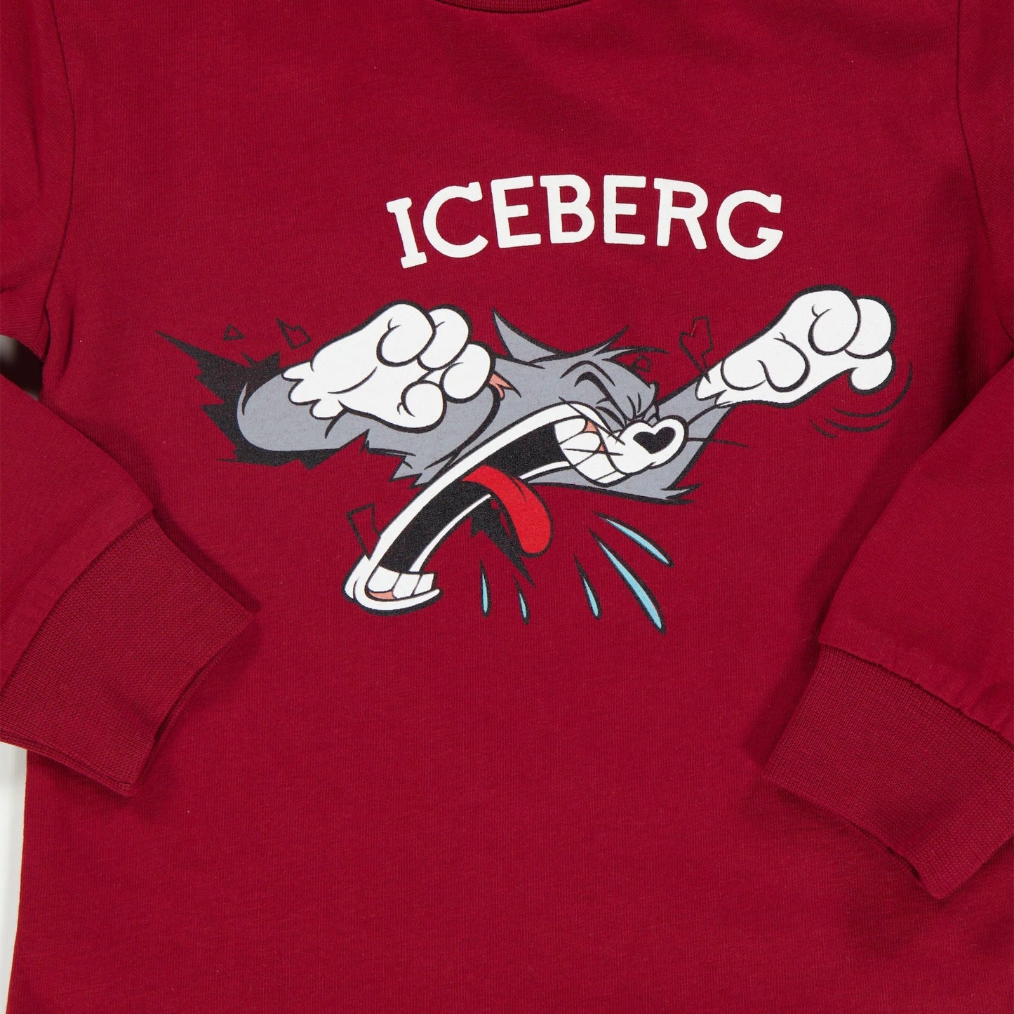 T-SHIRT ICEBERG