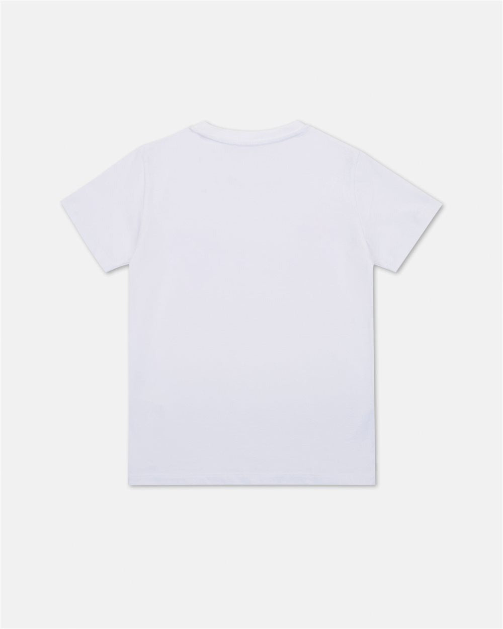 T-SHIRT ICEBERG