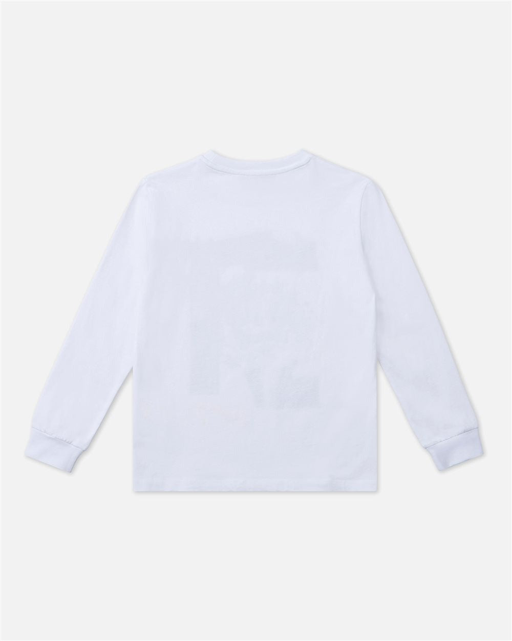 T-SHIRT ICEBERG