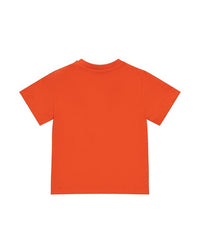 T-SHIRT ICEBERG
