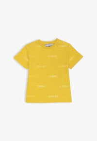 T-SHIRT ICEBERG