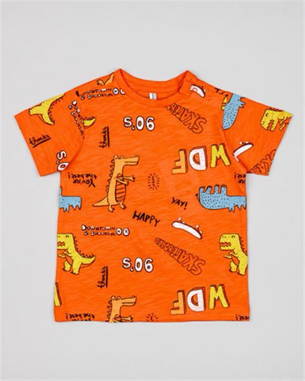 T-SHIRT COTONE LOSAN